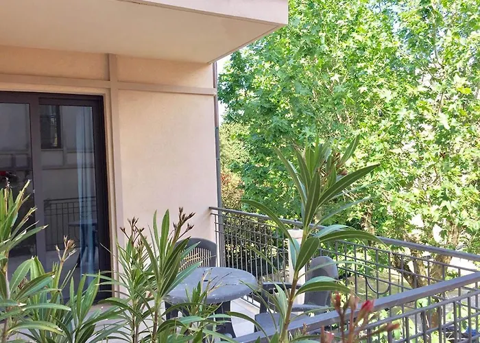 Ascot 3* 卡托利卡